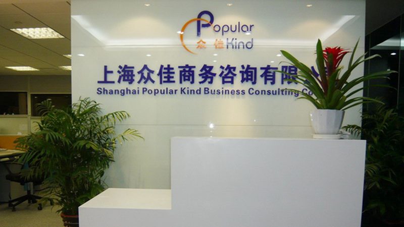 战略咨询参数指标明细：解码企业战略规划的精准工具